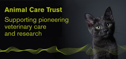 Animal Care Trust (ACT) - supporting pioneering veterinary care